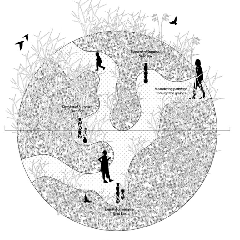 Wild Fragment- Abhivyakti City Arts Project