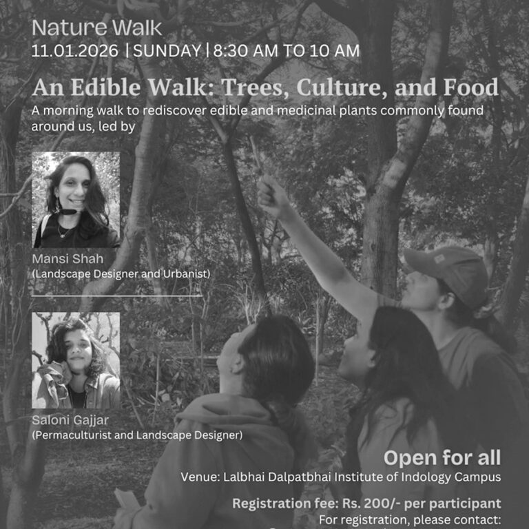 Edible Walk: Trees, Culture, and Food